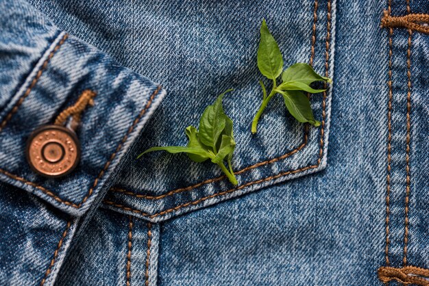An image showcasing various sustainable denim products, such as jeans made from organic cotton, recycled denim jackets, and hemp denim bags. The image emphasizes the eco-friendly materials used and the stylish designs available.