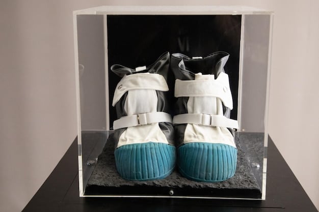 The Ultimate Sneaker Storage Guide: Protect Your Kicks